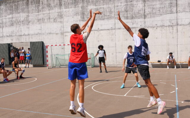 IMG 2586
