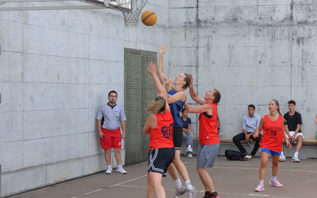 IMG 3162
