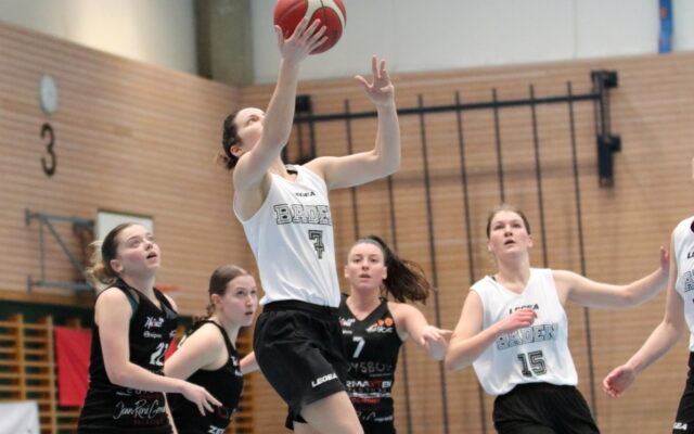 Galerie BB54 D1 vs. Helios VS Basket