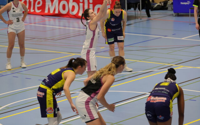 D1 vs Troistorrents 3