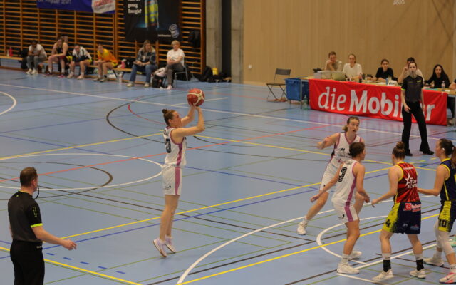 D1 vs Troistorrents 5
