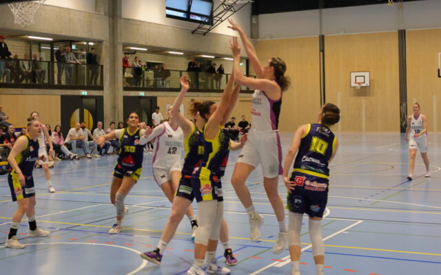D1 vs Troistorrents 24