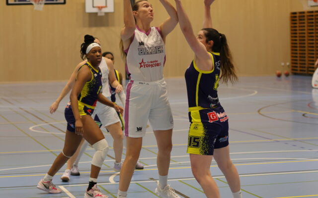 D1 vs Troistorrents 5