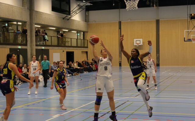 D1 vs Troistorrents 24