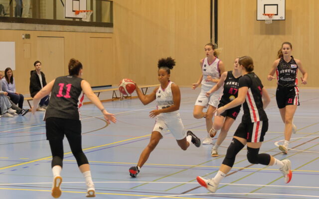 D1 vs Geneve 3