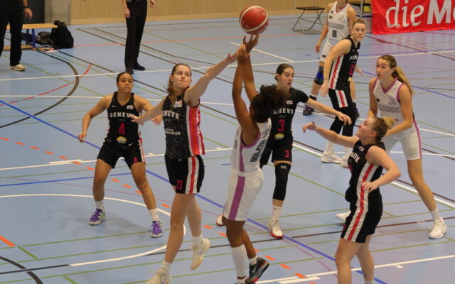 D1 vs Geneve 27