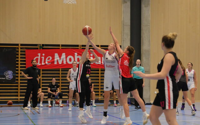 D1 vs Geneve 41
