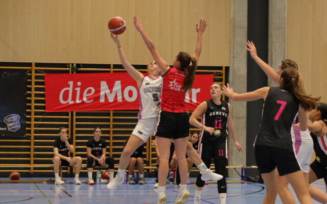 D1 vs Geneve 43