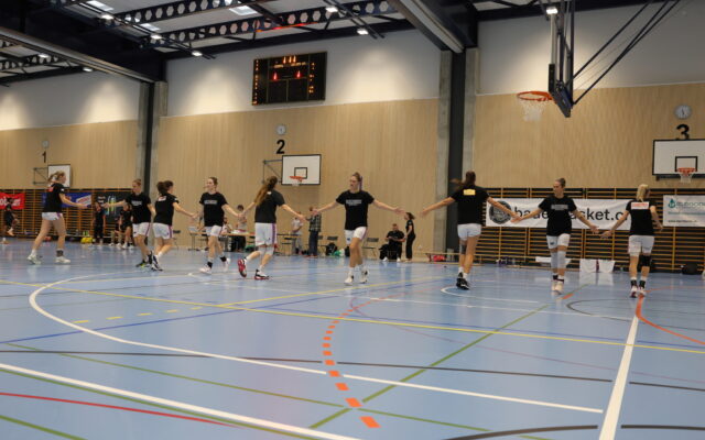 Galerie BB54 D1 vs. Helios VS Basket