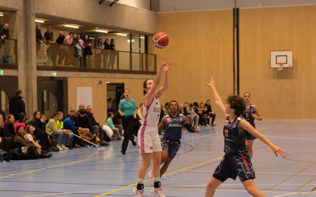 D1 vs Riva17