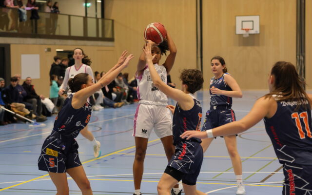D1 vs Riva18