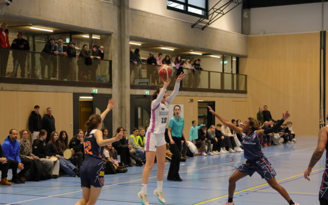 D1 vs Riva22