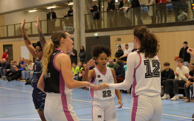D1 vs Riva34