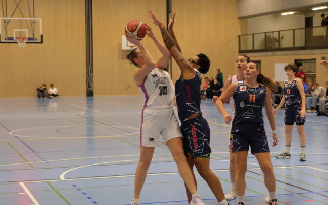 D1 vs Riva35