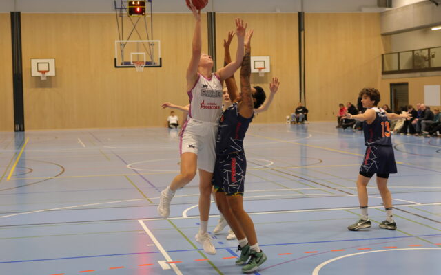 D1 vs Riva36