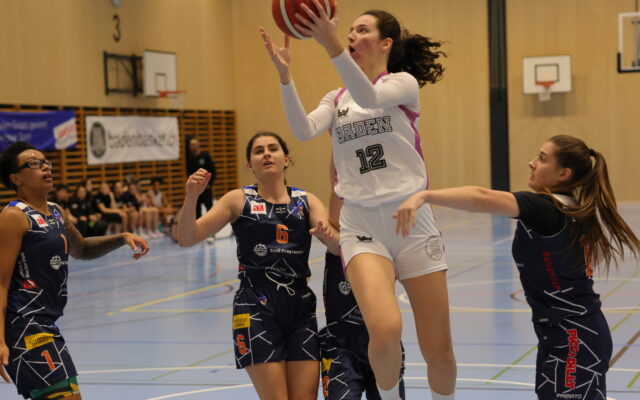 D1 vs Riva41