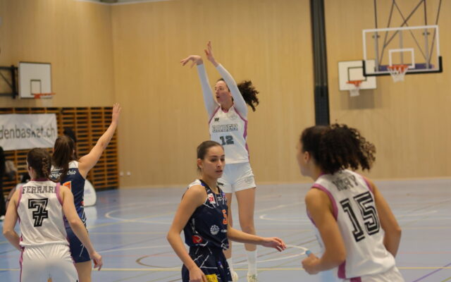 D1 vs Riva44
