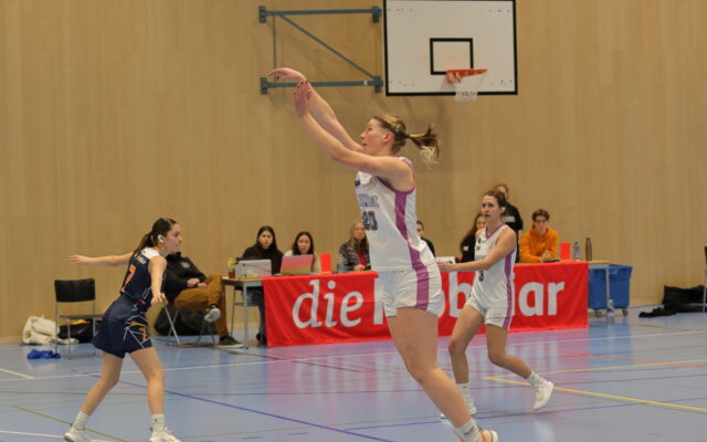 D1 vs Riva49