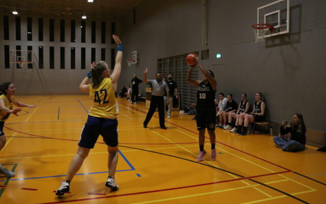 Galerie BB54 D2 vs. Mutschellen Basketall