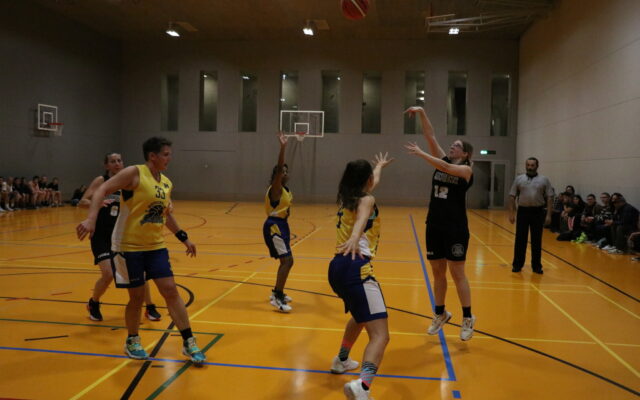 IMG 5459