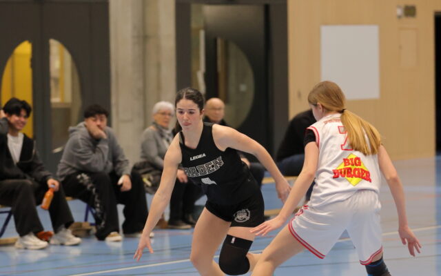DU20 vs BZO 3