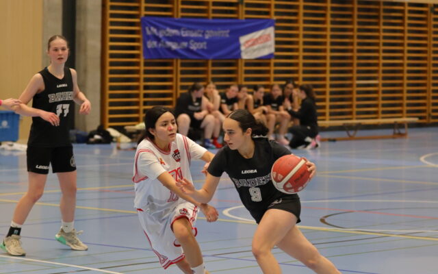 DU20 vs BZO 18