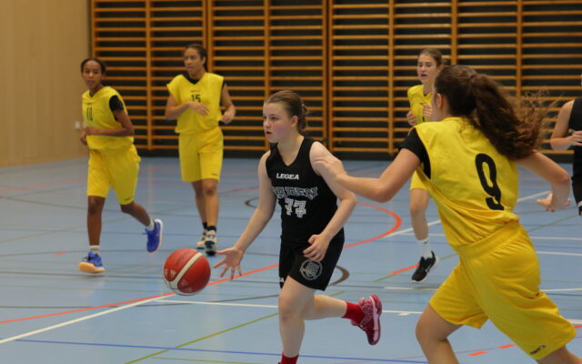 IMG 5256
