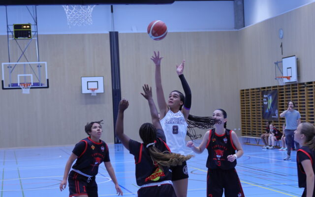 DU18 vs BZO 3