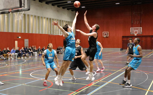 IMG 4523