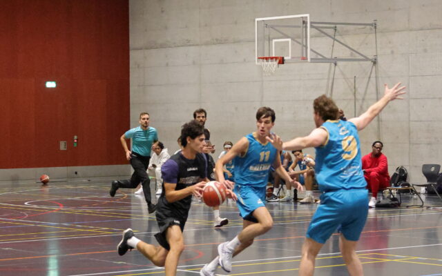 IMG 4536