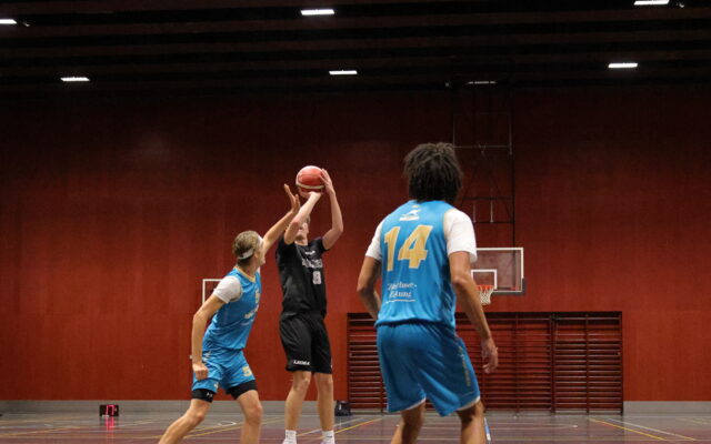 IMG 4591