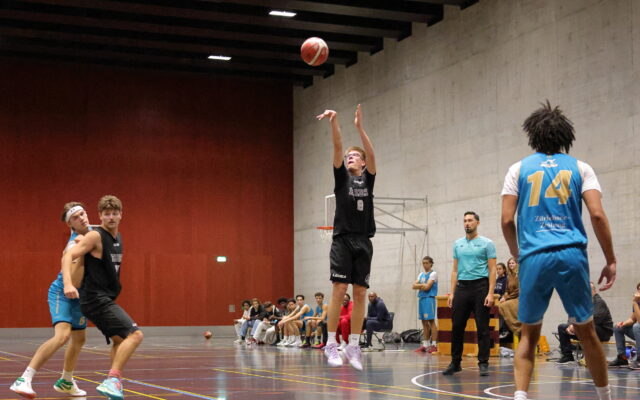 IMG 4603