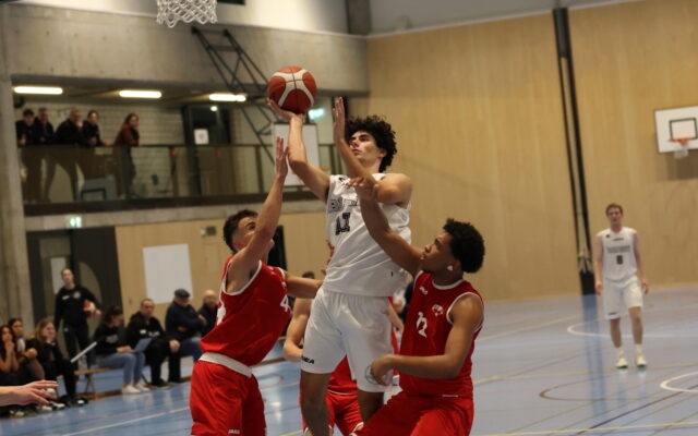 H1 vs Bern 19