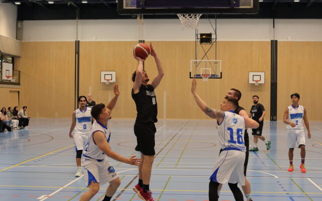 H4 vs BBZU15