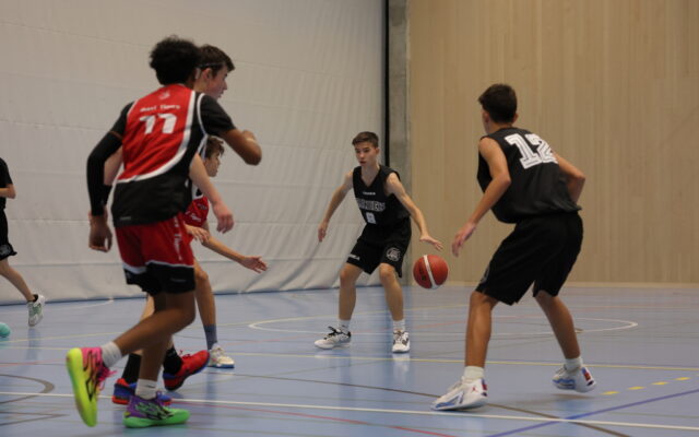 Galerie BB54 HU16B vs. BCBE Tigers