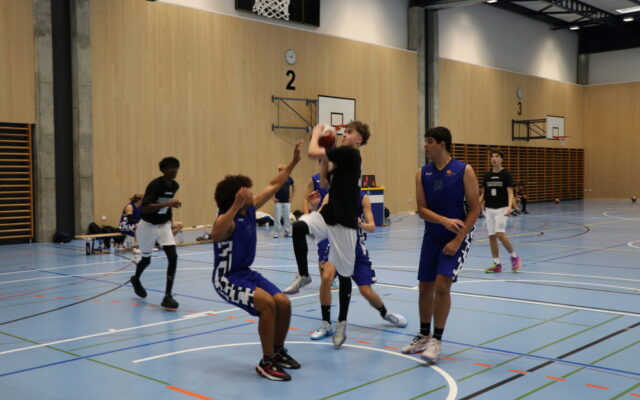 Galerie BB54 HU18B vs. Opfikon Basket