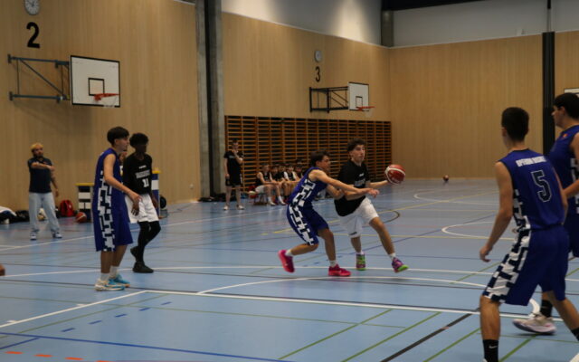 IMG 5334