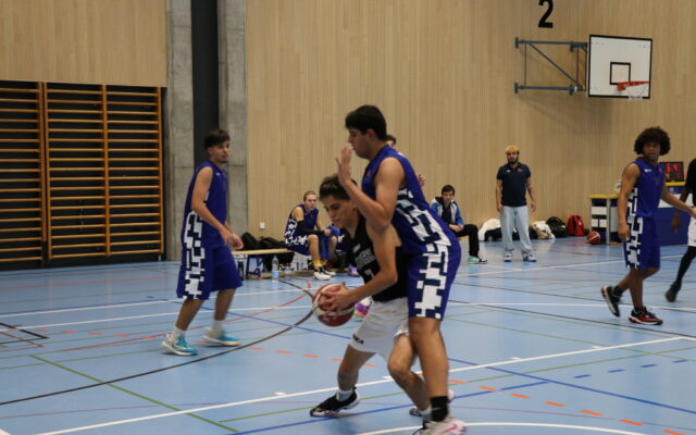 IMG 5335