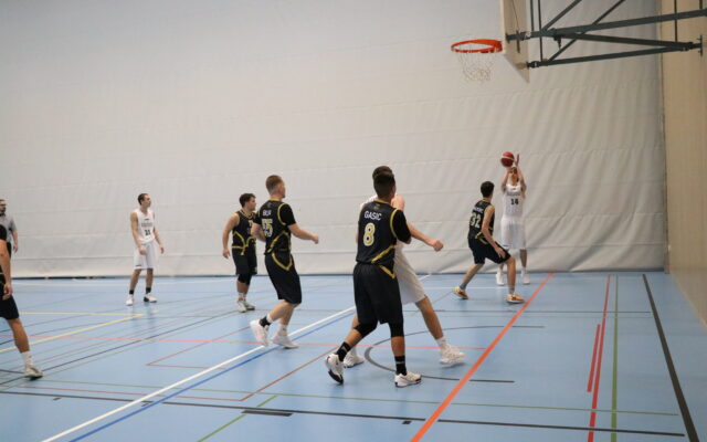 IMG 5255