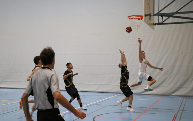 IMG 5258