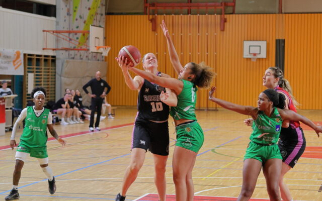 D1 in Pully 31