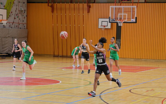 D1 in Pully 35