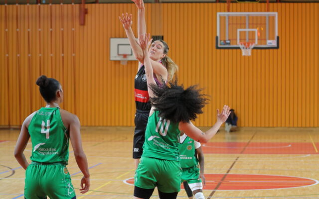 D1 in Pully 36