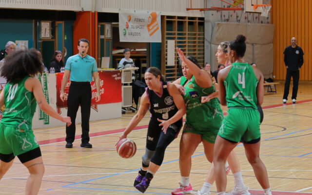 D1 in Pully 43
