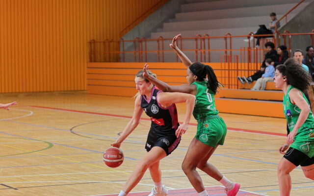 D1 in Pully 47
