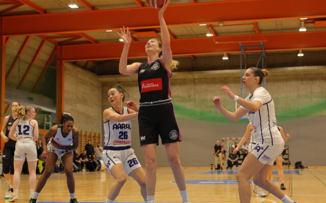 Aarau vs D1 Playoffs14